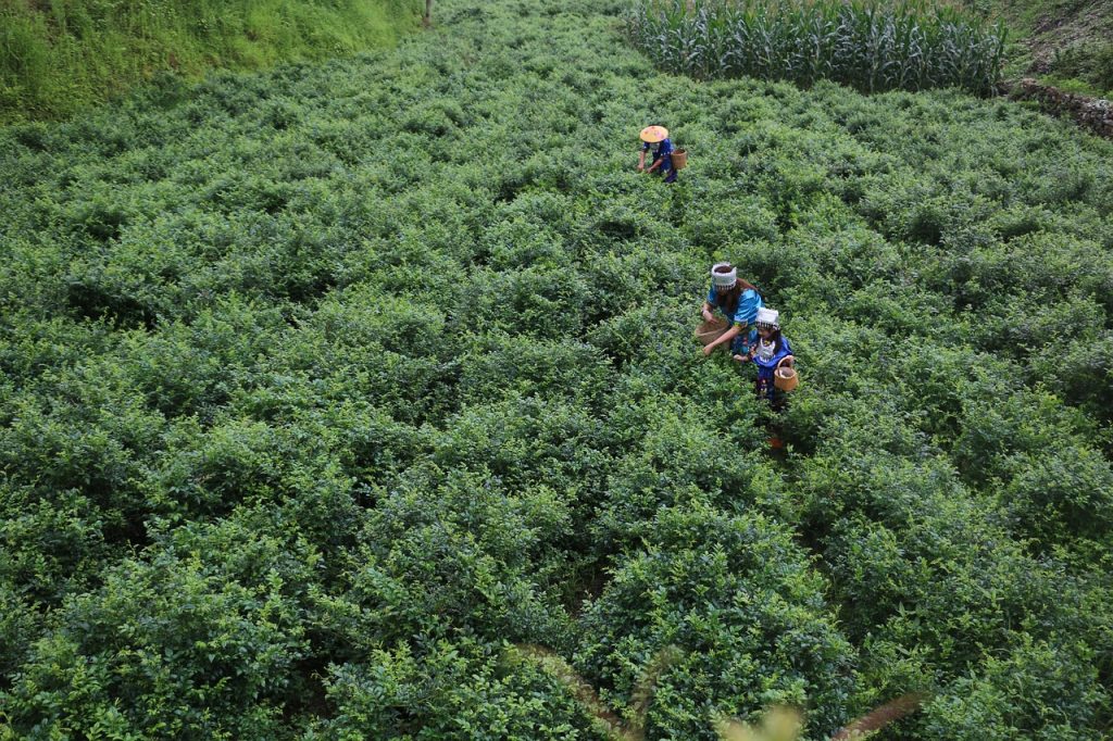 optimisez la préparation des commandes en entrepôt grâce à des méthodes efficaces de picking pour améliorer la productivité et réduire les erreurs.