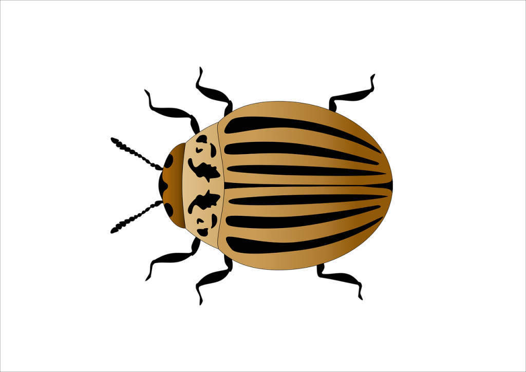 profitez de notre liquidation bonus exceptionnelle : des offres uniques et des réductions incroyables à ne pas manquer !