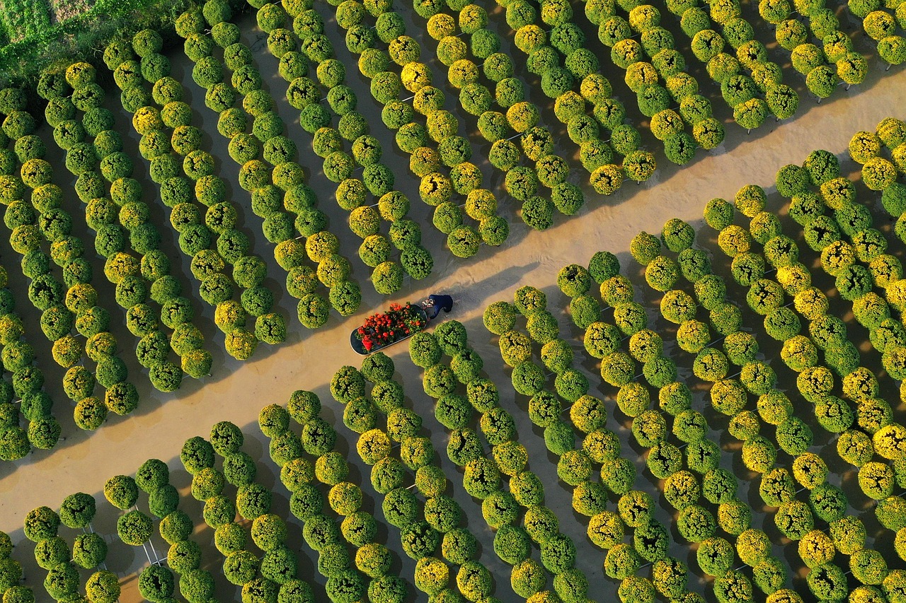 découvrez le rôle et les responsabilités du président d'une sas ainsi que les droits et obligations des employés au sein de cette structure juridique.