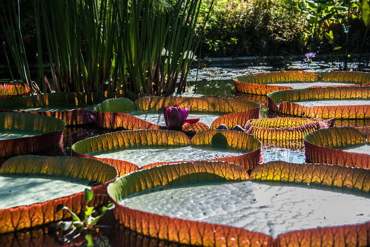 découvrez les leaders mondiaux de la technologie, leur impact sur l'industrie et les innovations qui façonnent notre avenir.