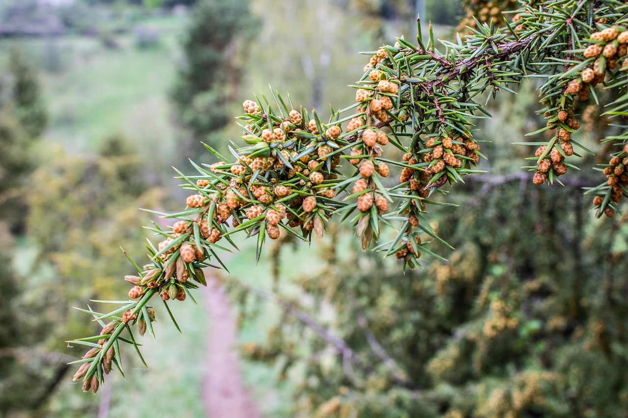 découvrez zimbra, une solution de messagerie collaborative puissante et sécurisée, idéale pour les entreprises et les particuliers souhaitant gérer leurs emails, calendriers et contacts efficacement.